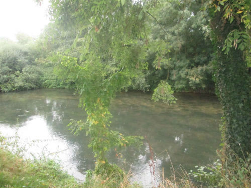 Les bords de l'Eure à Léry, sous les branches, à quelques mètres du gîte des Émotelles